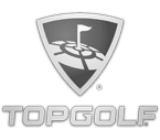 salesforce-support Topgolf