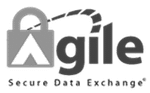 security Agile